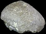 Amethyst Crystal Geode - Uruguay #50199-2